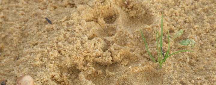 Whathasbeenthiswayrecently